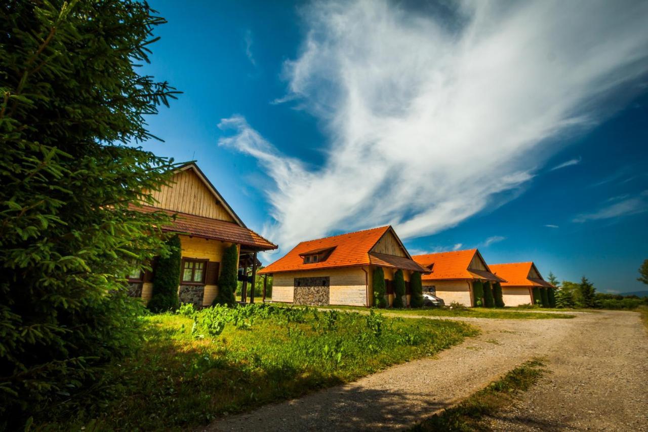 Pensiunea Sapte Flori Gheorgheni  Exteriér fotografie