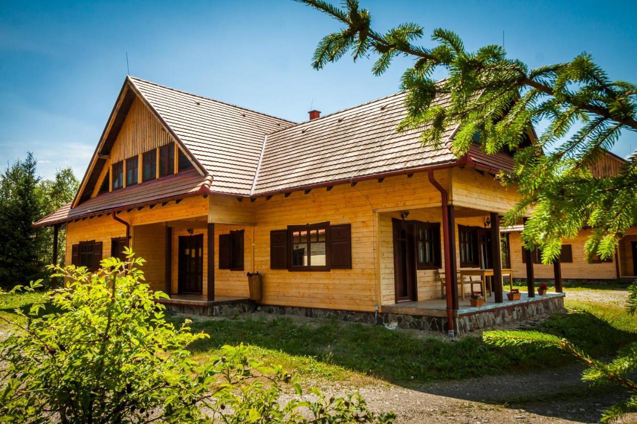 Pensiunea Sapte Flori Gheorgheni  Exteriér fotografie