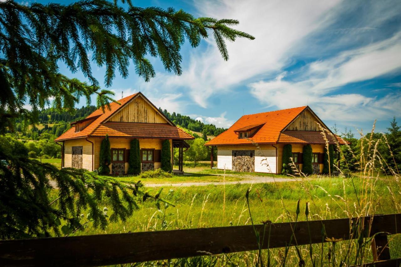 Pensiunea Sapte Flori Gheorgheni  Exteriér fotografie